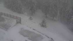 Přístup na běžeckou trať