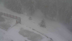 Přístup na běžeckou trať