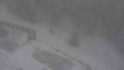 Přístup na běžeckou trať