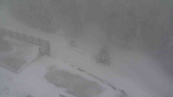 Přístup na běžeckou trať