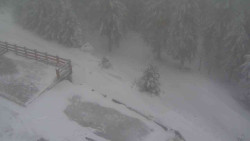 Přístup na běžeckou trať