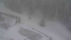 Přístup na běžeckou trať