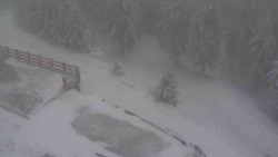 Přístup na běžeckou trať