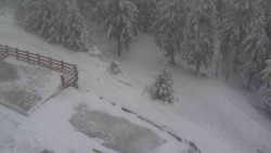 Přístup na běžeckou trať