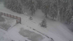 Přístup na běžeckou trať