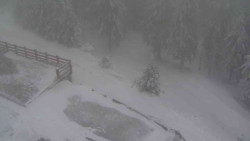 Přístup na běžeckou trať