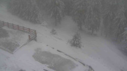 Přístup na běžeckou trať