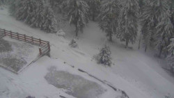 Přístup na běžeckou trať