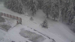 Přístup na běžeckou trať