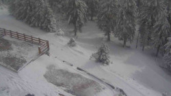 Přístup na běžeckou trať