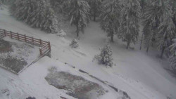 Přístup na běžeckou trať