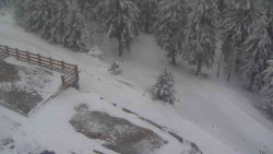 Přístup na běžeckou trať