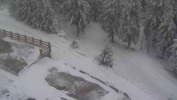 Přístup na běžeckou trať