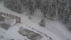 Přístup na běžeckou trať