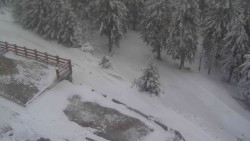 Přístup na běžeckou trať