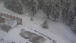 Přístup na běžeckou trať