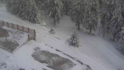 Přístup na běžeckou trať