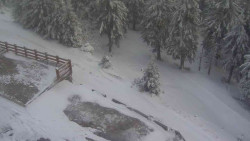 Přístup na běžeckou trať