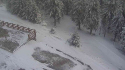 Přístup na běžeckou trať