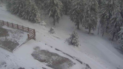 Přístup na běžeckou trať