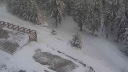 Přístup na běžeckou trať