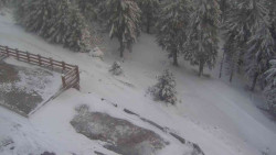 Přístup na běžeckou trať