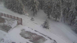 Přístup na běžeckou trať