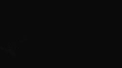 Přístup na běžeckou trať