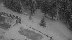 Přístup na běžeckou trať