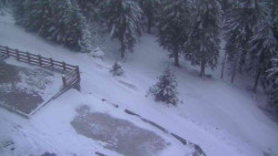 Přístup na běžeckou trať