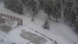 Přístup na běžeckou trať