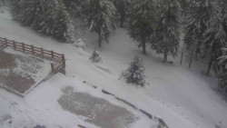 Přístup na běžeckou trať