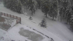 Přístup na běžeckou trať