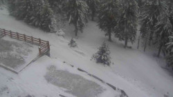 Přístup na běžeckou trať