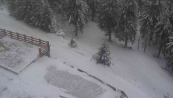 Přístup na běžeckou trať