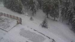 Přístup na běžeckou trať