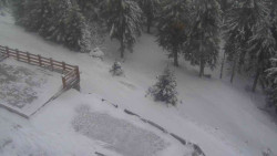 Přístup na běžeckou trať