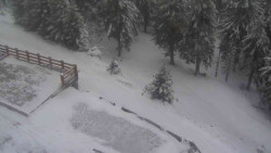 Přístup na běžeckou trať