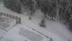 Přístup na běžeckou trať