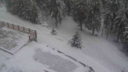 Přístup na běžeckou trať