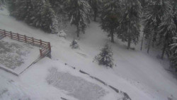 Přístup na běžeckou trať