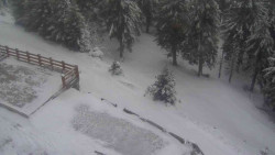 Přístup na běžeckou trať