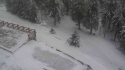 Přístup na běžeckou trať