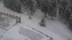 Přístup na běžeckou trať