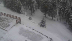 Přístup na běžeckou trať