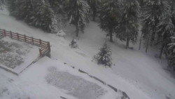 Přístup na běžeckou trať