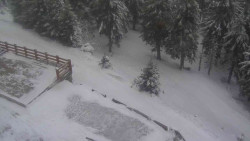 Přístup na běžeckou trať