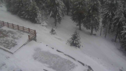 Přístup na běžeckou trať