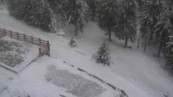 Přístup na běžeckou trať