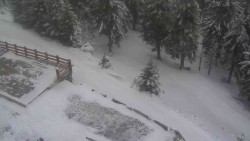 Přístup na běžeckou trať